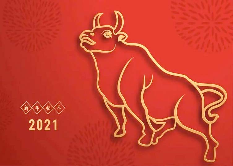 2021 - год быка по лунному календарю, Китайский Новый год