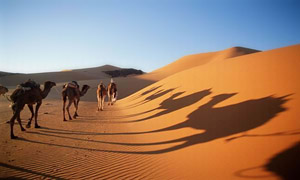 Арабские Эмираты, пустыня