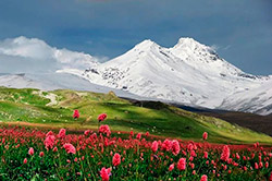 Отдых на Кавказе