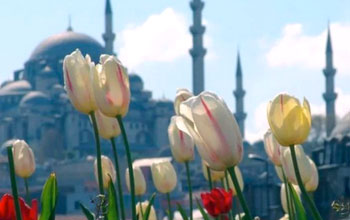 Праздники в Турции - Фестиваль встречи весны